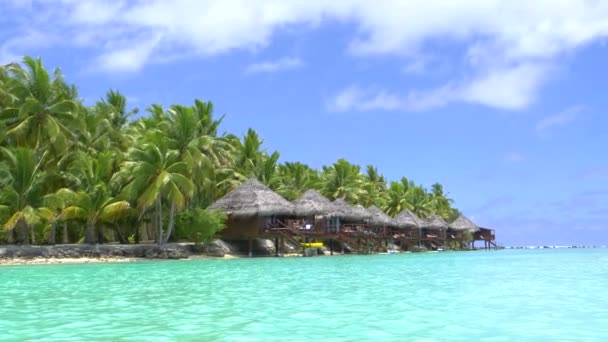 Destino Férias Perfeito Com Águas Cristalinas Oceano Brilha Sol Verão — Vídeo de Stock