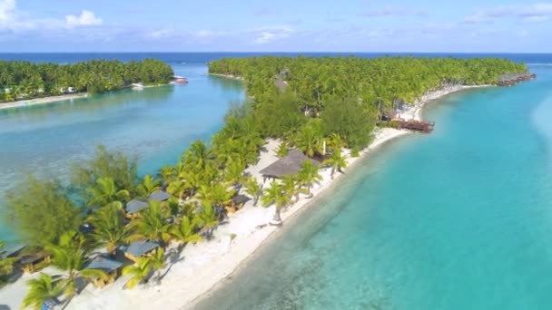 Eau Mer Vitreuse Brille Sous Soleil Été Brillant Près Une — Video