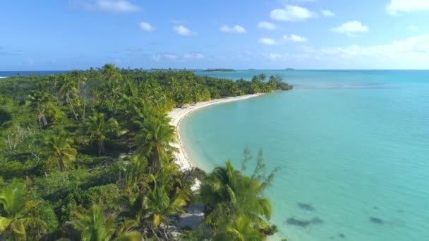 Lush Tropical Greenery Picturesque White Sand Beach Remote Island Pacific — 비디오