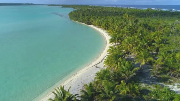 Weelderig Tropisch Groen Pittoresk Wit Zandstrand Een Afgelegen Eiland Stille — Stockvideo