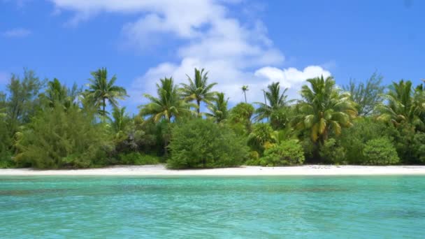 lent mouvement de l'eau vitreuse de l'océan brille sous le soleil d'été lumineux près de l'île tropicale à couper le souffle 