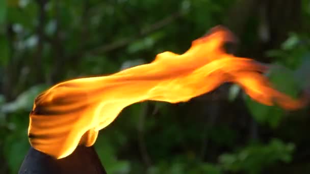 Primer Plano Antorcha Ardiente Día Soleado Fondo Playa Exótica — Vídeo de stock