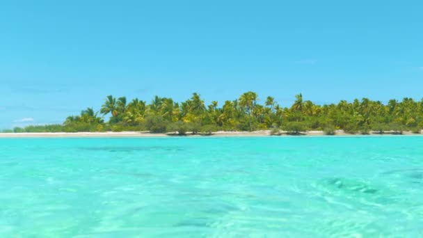 Vista Pittoresca Della Spiaggia Sabbia Bianca Delle Palme Nel Mare — Video Stock