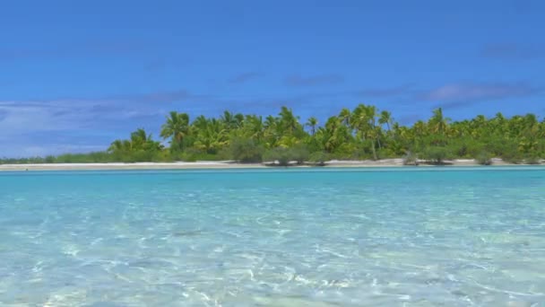 Schilderachtig Uitzicht Witte Zandkust Palmbomen Tropische Zee — Stockvideo