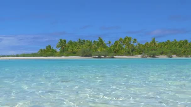 Picturesque View White Sand Shore Palm Trees Tropical Sea — ストック動画