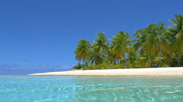 ÁNGULO BAJO: La vibrante naturaleza tropical cubre la isla de arena virgen en el Pacífico . — Vídeo de stock