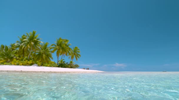 SLOW MOTION: Vista idilliaca di lussureggianti palme sulla spiaggia e sull'oceano cristallino — Video Stock