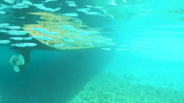 UNDERWATER Group of small fish swims past an old steel boat in the turquoise sea — Stock Video