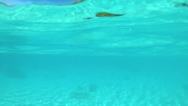 HALBUNDERWATER: Spektakuläres türkisfarbenes Wasser umgibt den exotischen Sandstrand. — Stockvideo