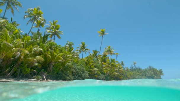 SLOW MOTION: Stunning shot of serene paradise island shoreline on sunny day. — 비디오