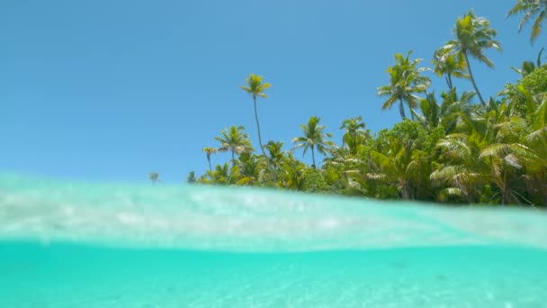 HALF IN HALF OUT: Cool view of the turquoise ocean water and pristine beach. — Stock Video