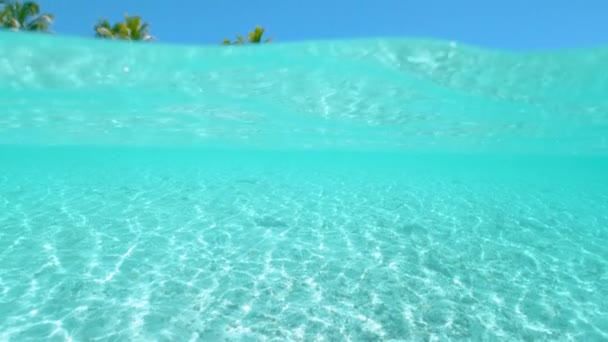 Slow Motion: Prachtige opname van kalme oceaanbodem en idyllisch tropisch eiland. — Stockvideo