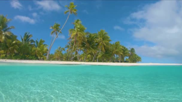 HALF UNDERWATER: Spectacular view of pristine exotic beach in turquoise Pacific. — Stock Video