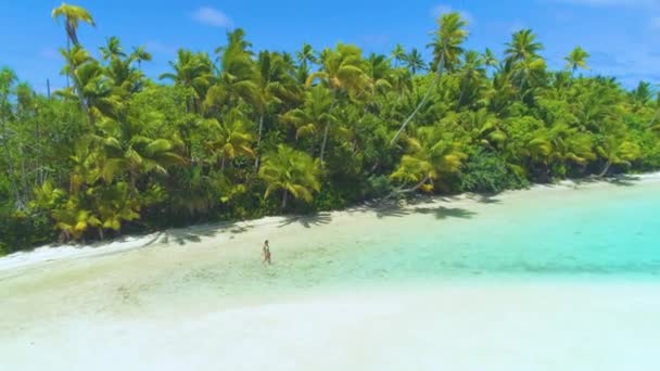 DRONE: Chica turística en bikini camina en el agua superficial del océano turquesa. — Vídeo de stock