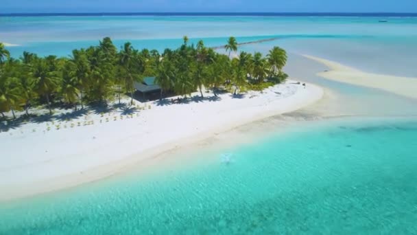 DRONE : Fille touristique joyeuse court dans l'océan turquoise à couper le souffle . — Video