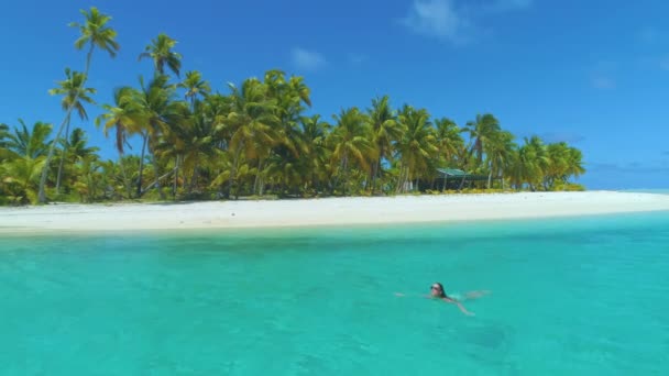 AERIAL: Feliz joven mujer de vacaciones nada en refrescante agua de mar turquesa . — Vídeos de Stock