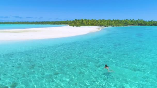 AERIAL: Jonge vrouw op vakantie zwemmen in de richting van het tropische witte zandstrand — Stockvideo