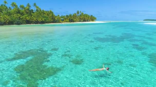 DRONE: Uvolněná dívka plovoucí na klidném povrchu tyrkysového oceánu. — Stock video