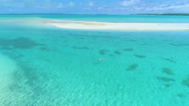 Den sorglösa unga kvinnan simmar på rygg i det exotiska turkosa havet.. — Stockvideo