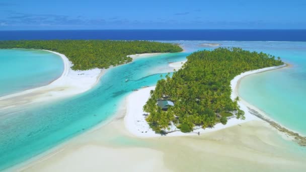 DRONE: La gente del posto cavalca le loro barche a One Foot Island per godersi l'estate. — Video Stock