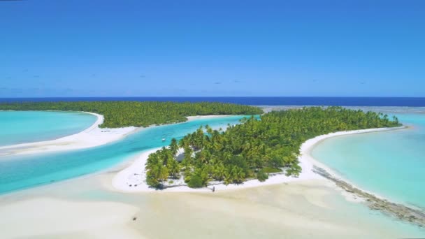 DRONE: Inwoners verankeren hun boot en springen in het verfrissende turquoise water. — Stockvideo