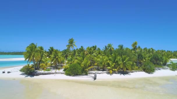 Drone Time Warp: Versnel de opname van weelderig exotisch eiland in de rustige Stille Oceaan. — Stockvideo