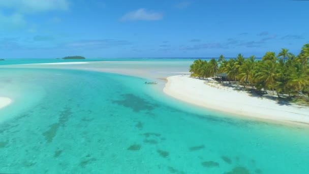 DRONE: Vliegen boven het turquoise oceaanwater rondom het weelderige tropische eiland. — Stockvideo