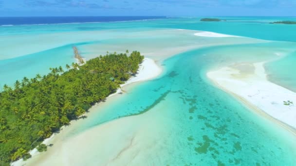 AERIAL: Vliegen boven een idyllisch exotisch eiland midden in de turquoise oceaan. — Stockvideo