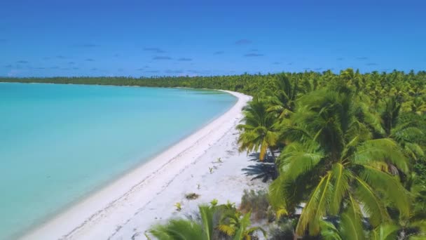 Flyger längs den spektakulära tropiska ön strandlinjen i Stilla havet. — Stockvideo