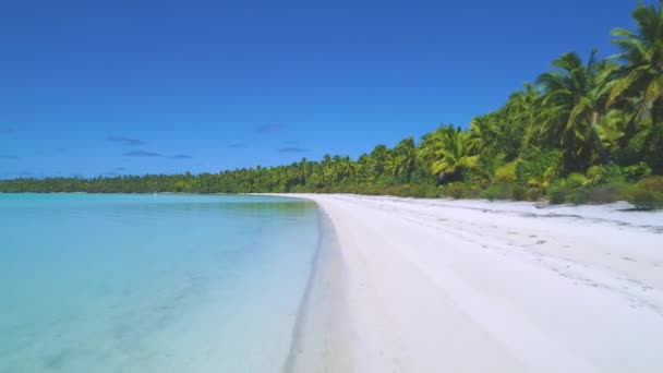 AERIAL: Cinematic view of the untouched white sand coast of One Foot Island. — Stock Video