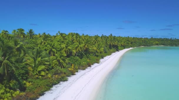 DRONE: Voando para longe da ilha remota coberta por densa vegetação tropical. — Vídeo de Stock