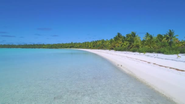 Antenn: Cinematic skott av grunt glasaktigt hav och den fantastiska sandstranden. — Stockvideo