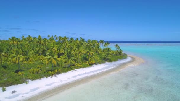 DRONE: Volando más allá de una exuberante naturaleza exótica de la isla y hacia los mares abiertos azules . — Vídeos de Stock