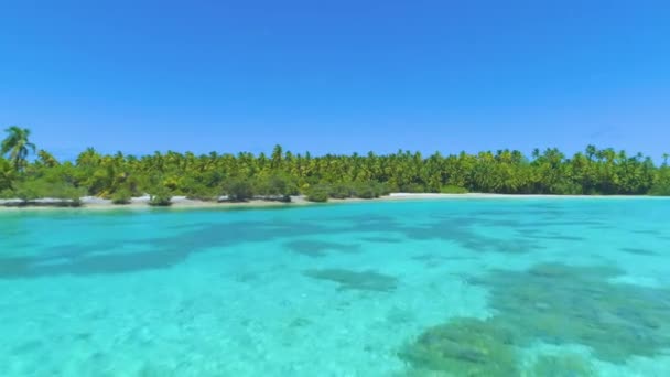 DRONE: Volando por encima de las copas de agua turquesa y palmeras en la isla exótica . — Vídeo de stock