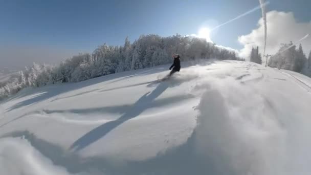 Lens Flare: Jonge vrouw snowboarden off piste in de prachtige zonnige Alpen. — Stockvideo