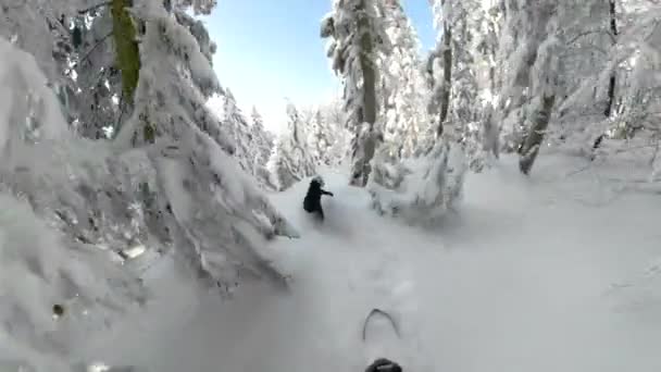 Pov: Ιππασία πίσω από ακραία θηλυκό snowboarder σας δείχνει μέσα από χιονισμένο δάσος. — Αρχείο Βίντεο