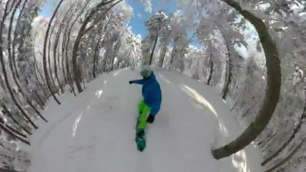 SELFIE：酷酷的滑雪板夫妇在危险的森林里一起粉碎粉末. — 图库视频影像