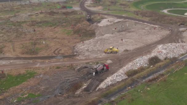 İHA: Kuş sürüsü servis edilen kamyonların üzerinde uçar ve tarlada dolaşır — Stok video