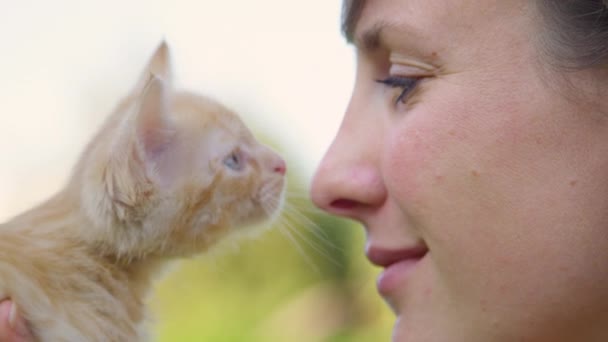 CLOSE UP: Adorable orange tabby kitten meows and touches the young woman 's nose. — стоковое видео