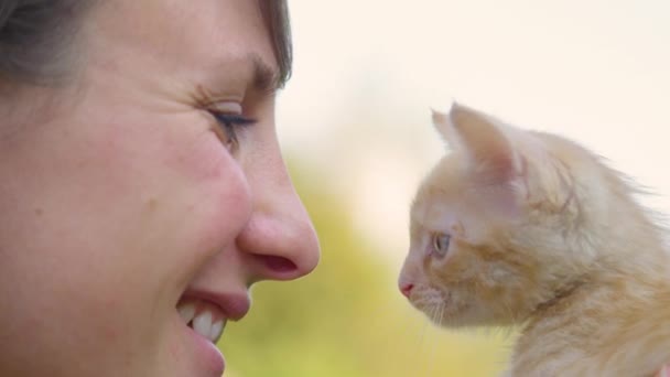 MOCIÓN LENTA: Chica feliz sostiene a un curioso gato bebé naranja cerca de su cara . — Vídeo de stock