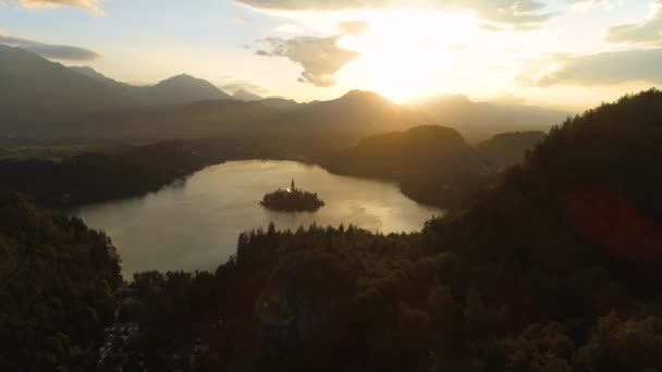 AÉRIAL : Survoler la forêt verdoyante dense entourant le magnifique lac Bled . — Video