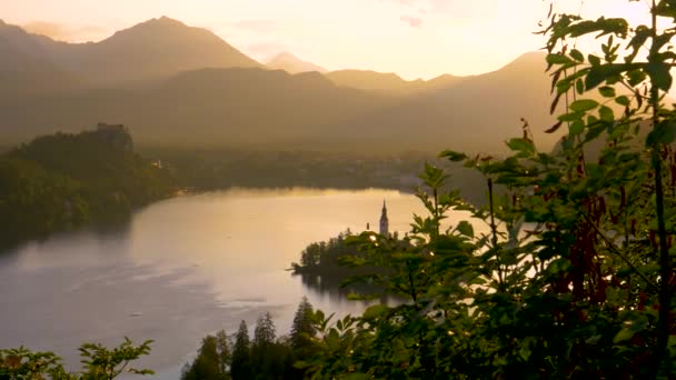 Drone: Avondzon verlicht kerk op het eilandje in het midden van het meer Bled. — Stockvideo