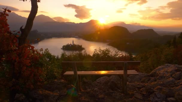 LENS FLARE: Splendidi raggi di sole arancio da sera brillano su panchina di legno solitario. — Video Stock