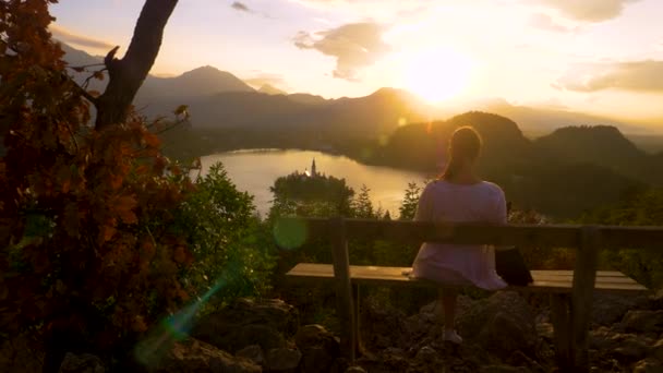 閉じる:認識できない女の子と彼女の犬は日没時に上から湖を観察. — ストック動画