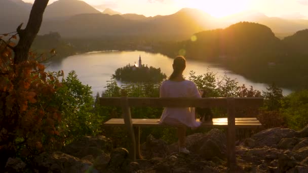 FERMER : Femme assise sur le banc et caressant son chien tout en regardant le coucher du soleil. — Video