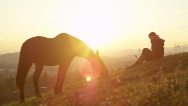 Lassú mozgás: fiatal nő ül a dombon, miközben a ló legel napkeltekor. — Stock videók