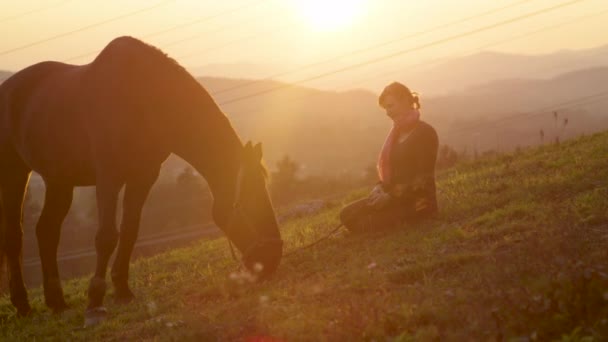 LENS FLARE: Golden sunbeams shine on woman sitting next to horse pasturing. — Stock Video