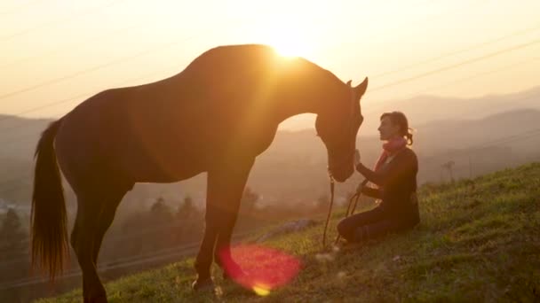 SLOW MOTION: Big stallion bonds with his owner in the idyllic peaceful pasture. — 비디오