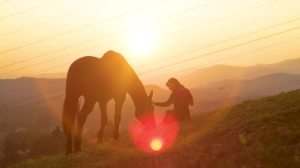 SUN FLARE: Happy young woman bonding with her stallion in a pasture at sunrise. — Stock Video