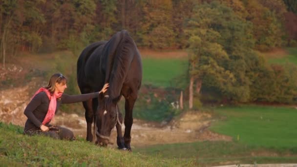 スローモーション:愛する若い女性ペット彼女の美しい種牡馬の放牧で牧草地 — ストック動画